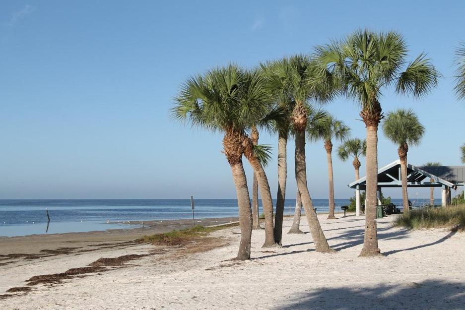 Walk Everywhere! 1-Bedroom Gem In Downtown Hub New Port Richey Esterno foto